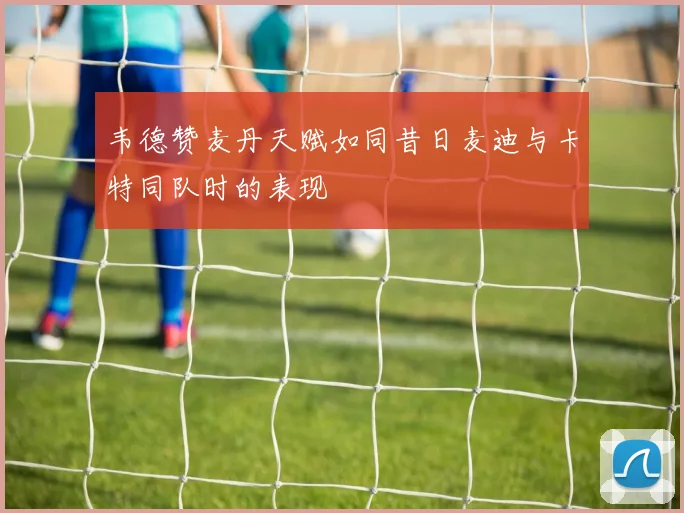 韦德赞麦丹天赋如同昔日麦迪与卡特同队时的表现