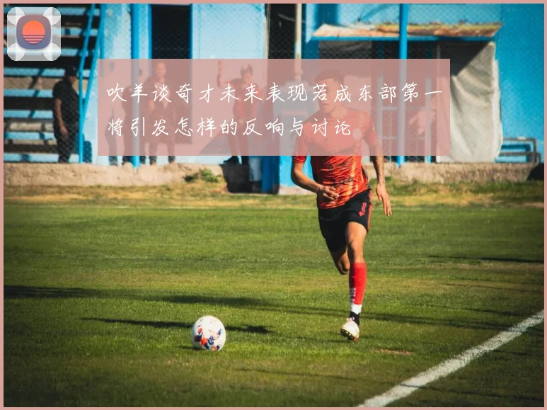 吹羊谈奇才未来表现若成东部第一将引发怎样的反响与讨论