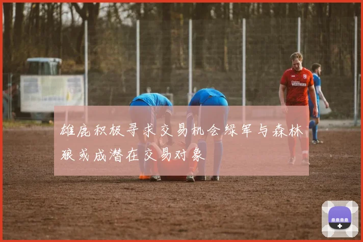 雄鹿积极寻求交易机会绿军与森林狼或成潜在交易对象