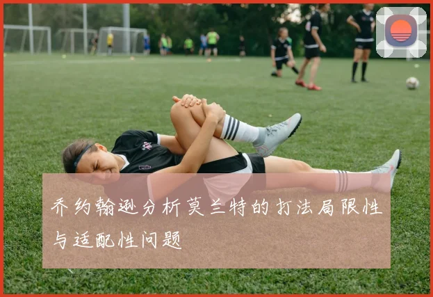 乔约翰逊分析莫兰特的打法局限性与适配性问题